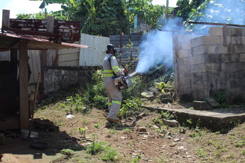 Chiriquí aumento de casos por dengue